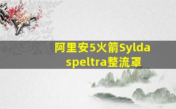 阿里安5火箭Sylda speltra整流罩